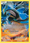Carte Kyurem Noir XY80/