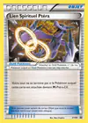 Carte Lien Spirituel Ptéra XY99/