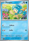 Carte Flotajou 017/086
